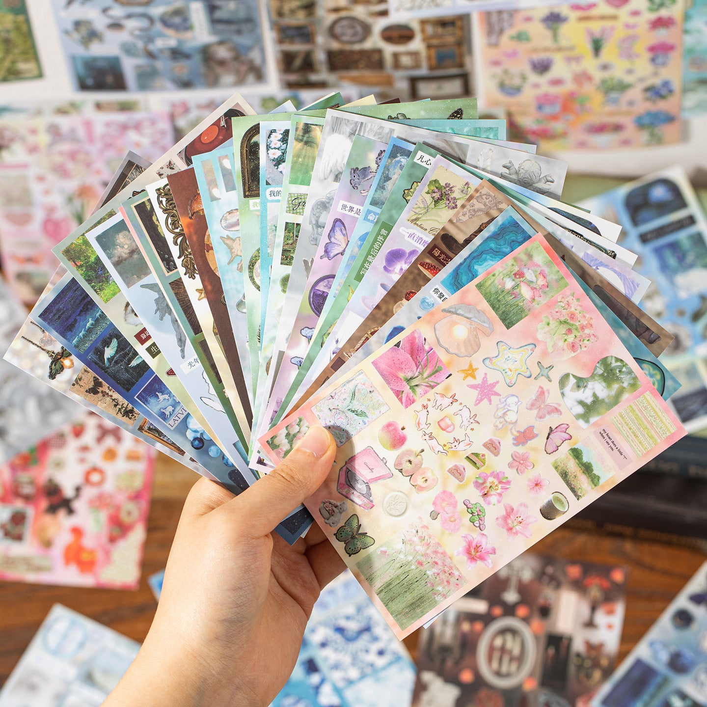 Stary dream Sticker book