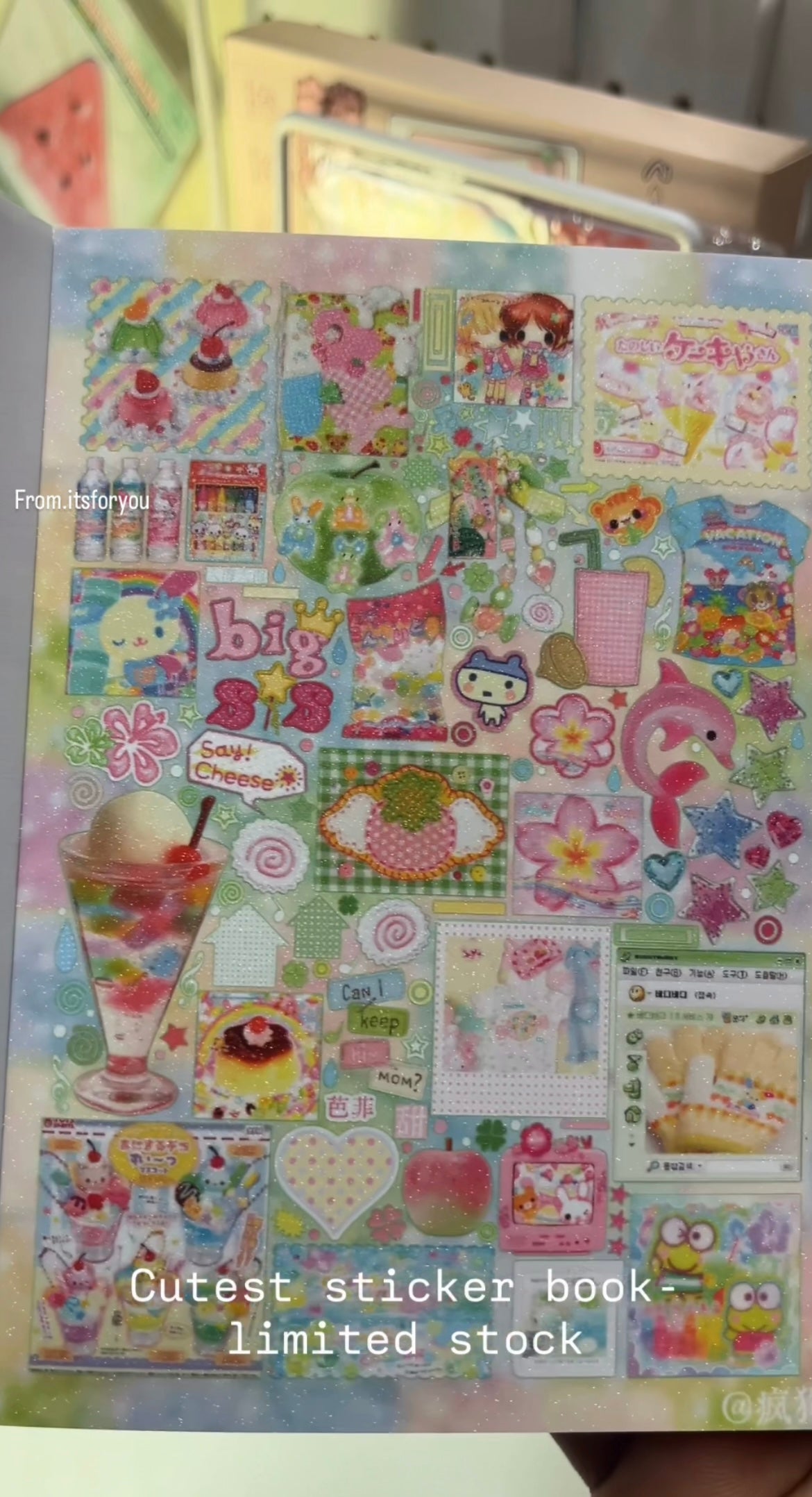 Limited edition sticker books