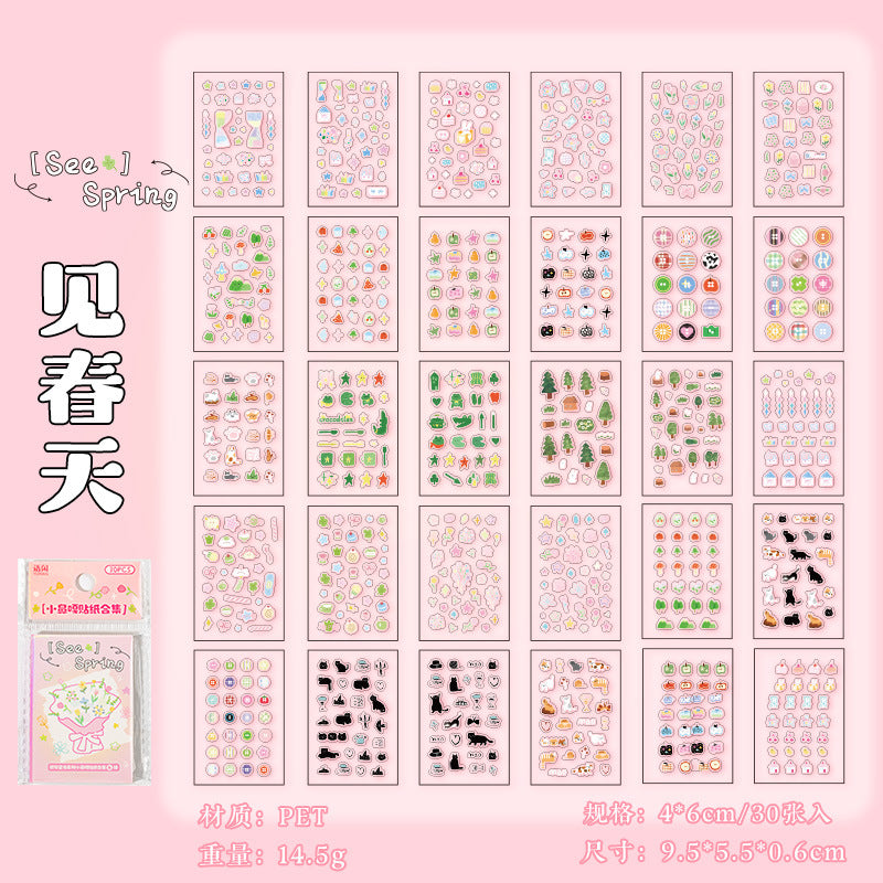 Mini Sticker book